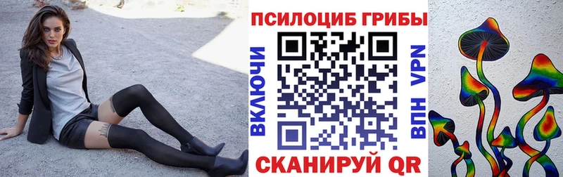 Купить где  Поворино  Псилоцибиновые грибы прущие грибы 