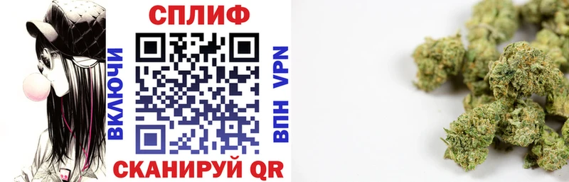 Купить закладки Поворино Канабис тримм
